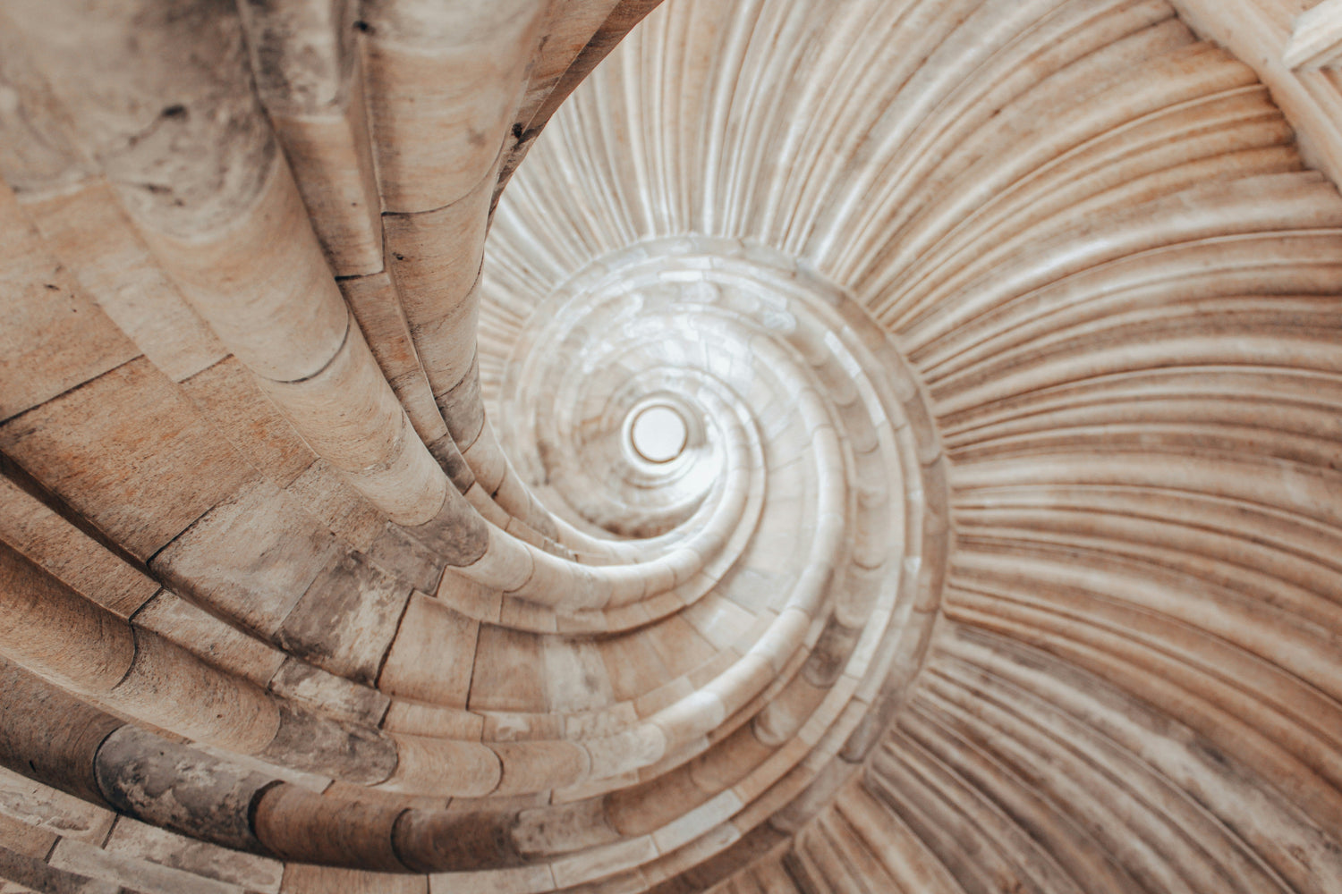 The Awakening Path: Embracing Ascension with Compassion and Grace