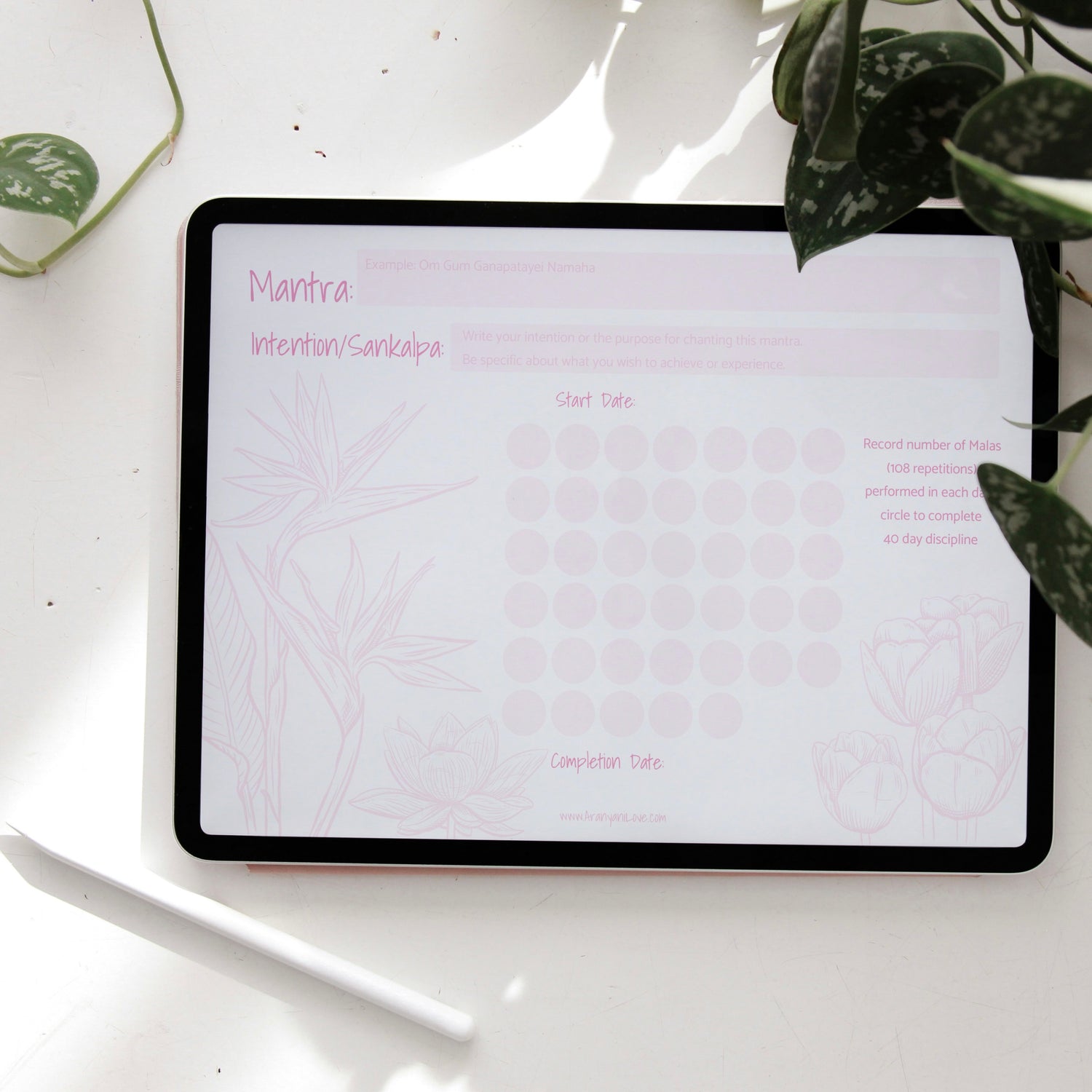 Sacred Mantra Journal