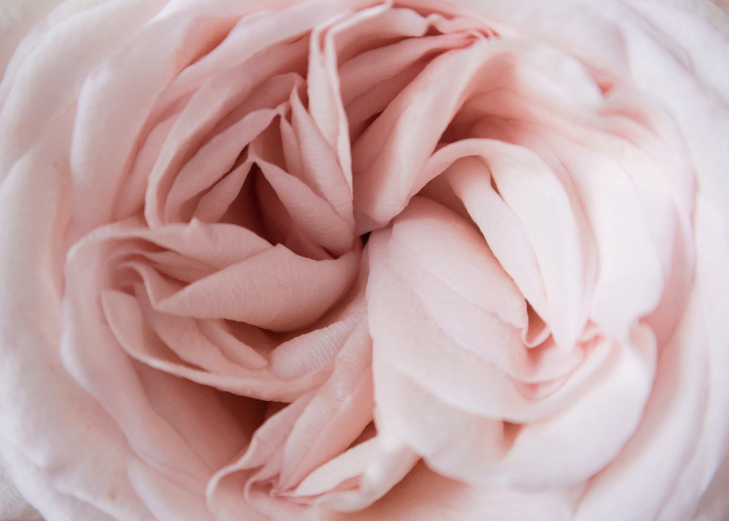 A Mantra of Divine Wholeness: Remember Who You Truly Are